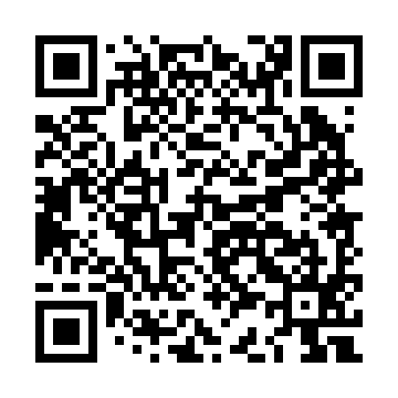 QR code for LC0295