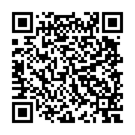 QR code for LC0493