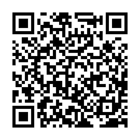 QR code for LC0991