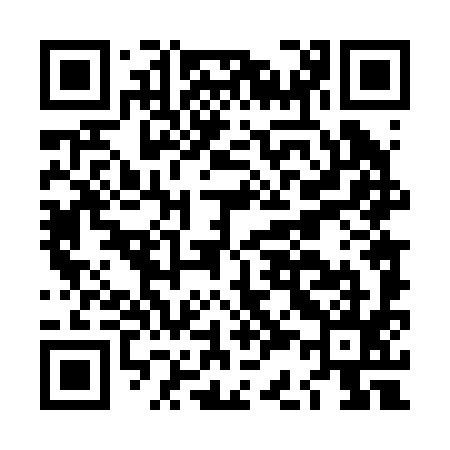 QR code for LC4295