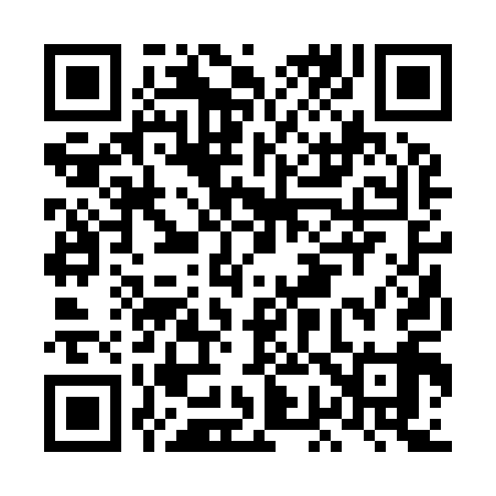 QR code for LG2919