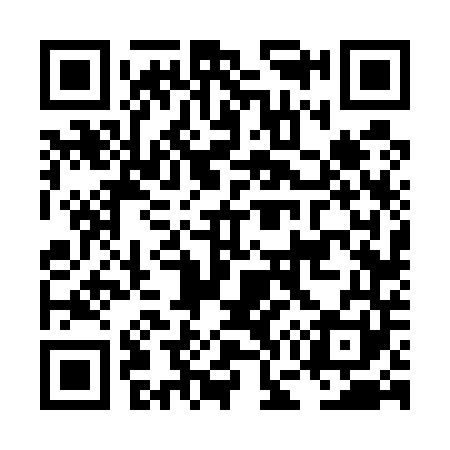 QR code for LG6541