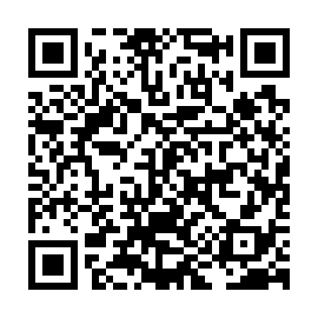 QR code for LI1738