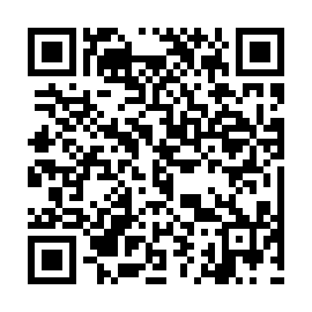 QR code for LI2010