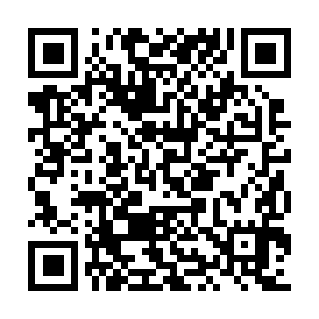 QR code for LI2295
