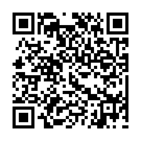 QR code for LI2959