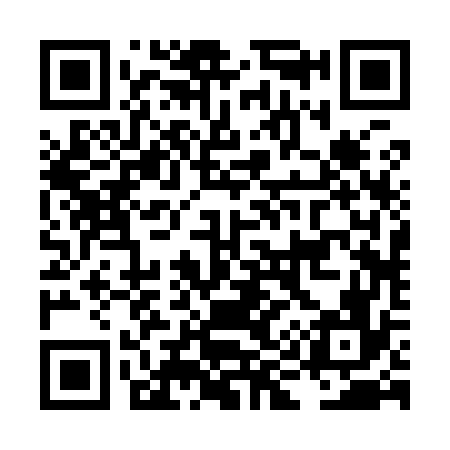 QR code for LI2976