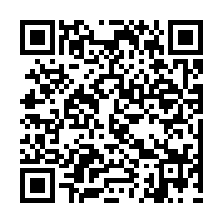 QR code for LI3339