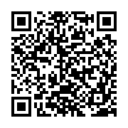 QR code for LI3776
