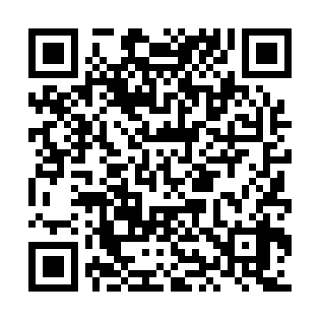 QR code for LI4138