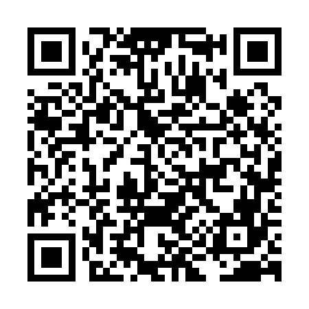 QR code for LI6166