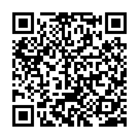 QR code for LI6228