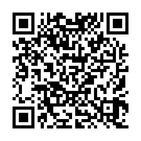 QR code for LI9109