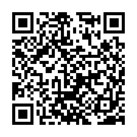 QR code for LI9313