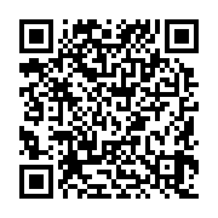 QR code for LI9389