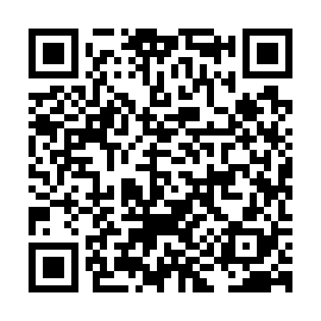 QR code for LI9728