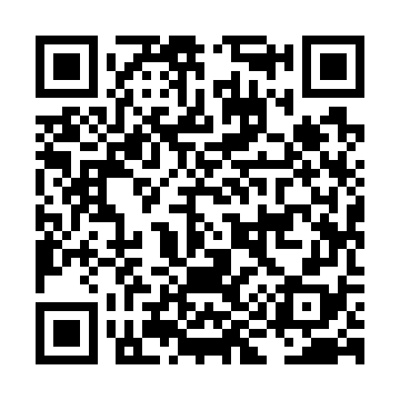 QR code for LI9778