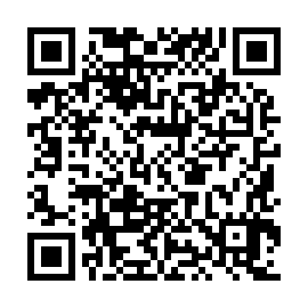 QR code for LI9987
