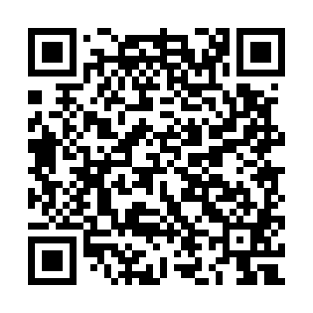 QR code for LL0581
