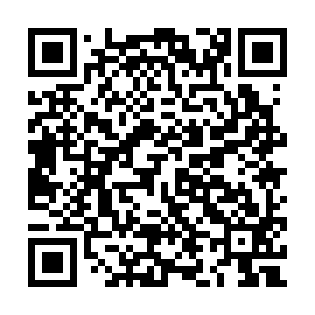 QR code for LL1393