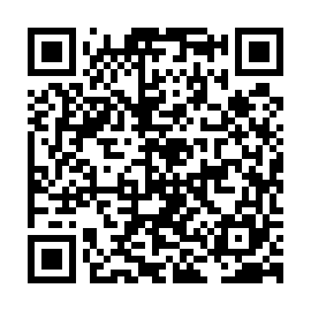 QR code for LL9565