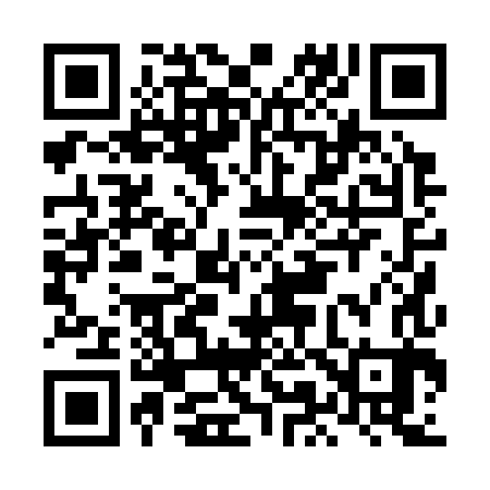 QR code for LM0383