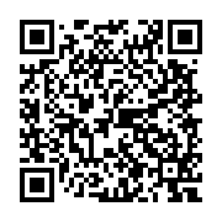QR code for LM0595