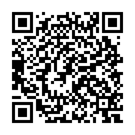 QR code for LO0313