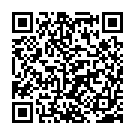 QR code for LQ9313