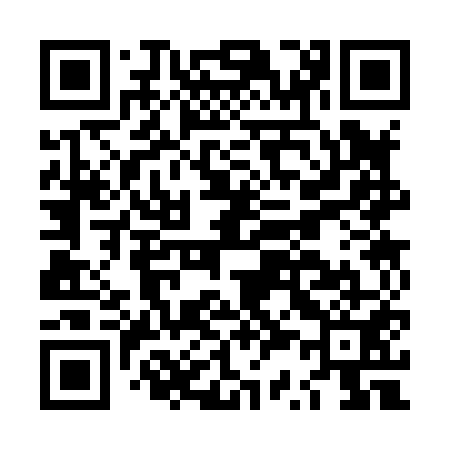 QR code for LS3851