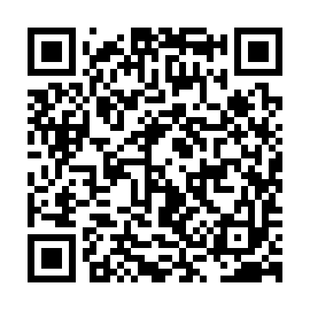QR code for LS9393