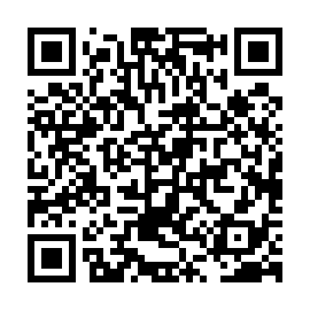 QR code for LT0538