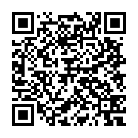 QR code for LT0539