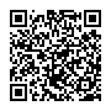 QR code for LT0655