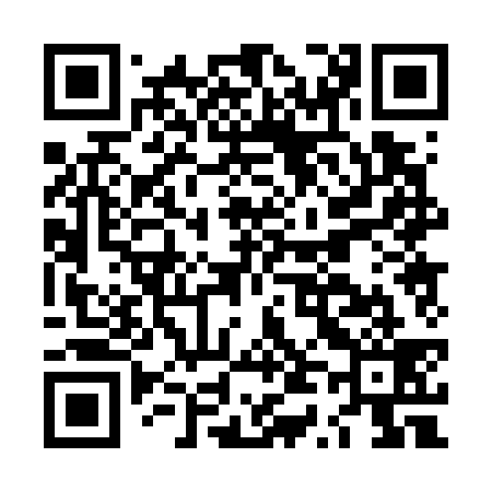 QR code for LT0739