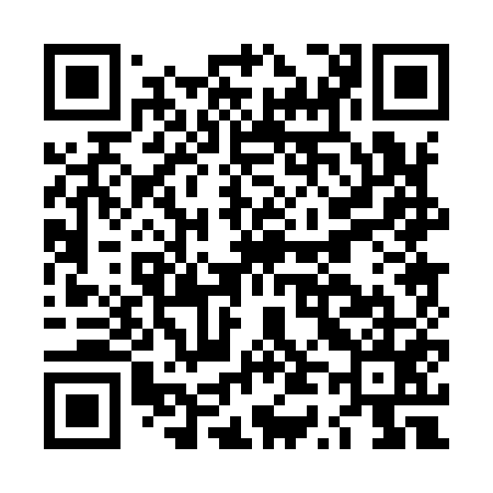 QR code for LT0955