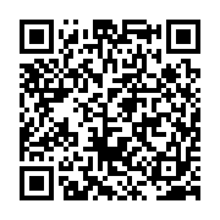 QR code for LT1313