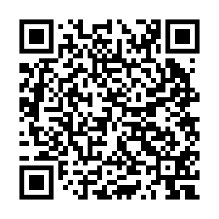 QR code for LT2211