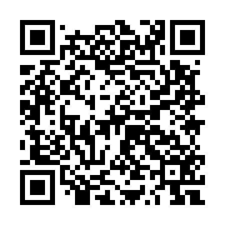 QR code for LT9556