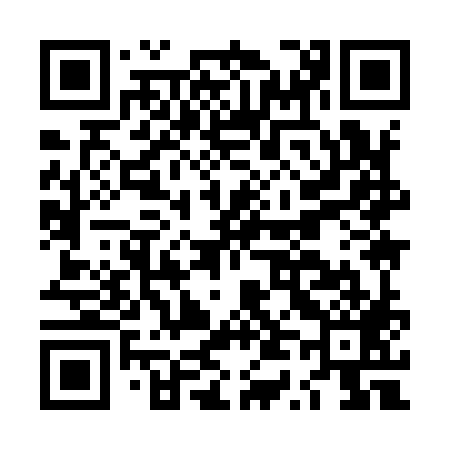 QR code for LT9989
