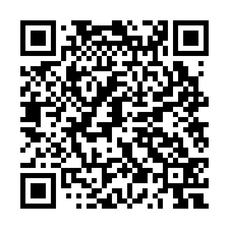 QR code for LU2333
