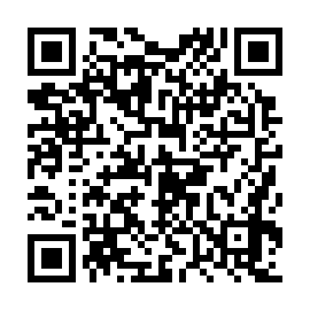 QR code for LV0378