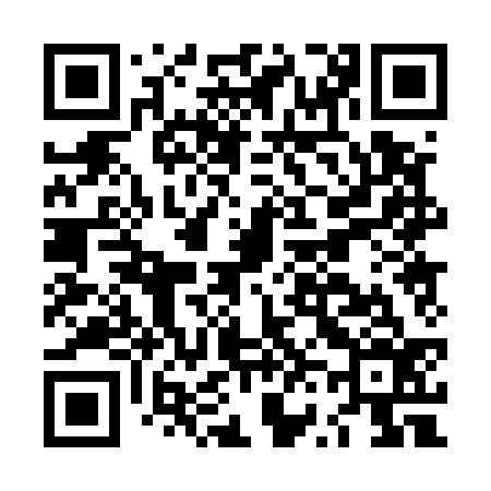 QR code for LV0536
