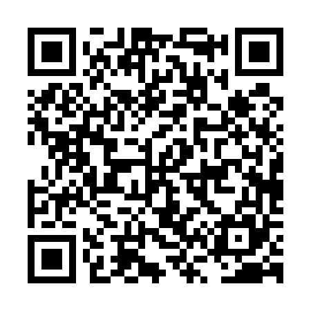 QR code for LV0565