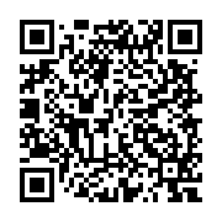 QR code for LV0595