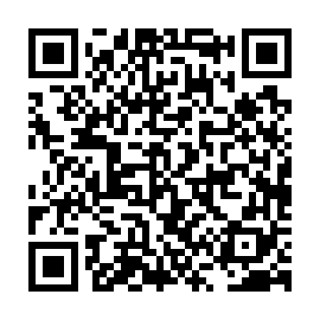 QR code for LV0768