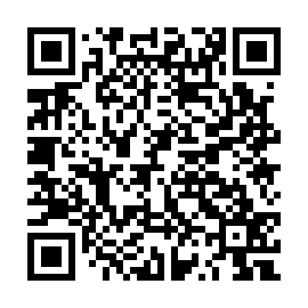 QR code for LV1137