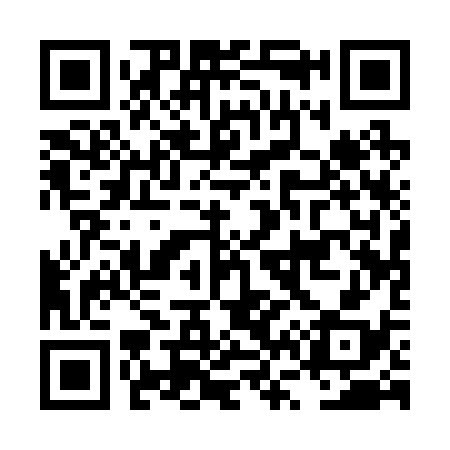 QR code for LV1238