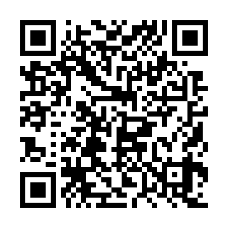 QR code for LV1739