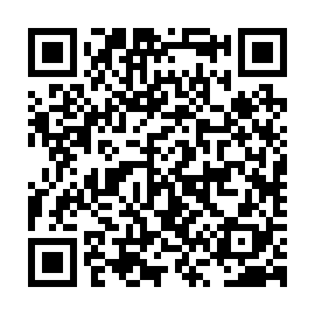 QR code for LV2228